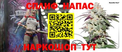 спиды Шелехов